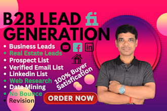 provide b2b sales, email list building and real estate leads