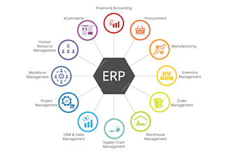 optimize your erp and accounting process as a ca finalist