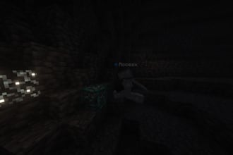 professionally grind and build for you in minecraft survival