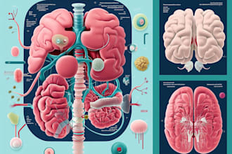 design scientific, medical, educational illustration for you