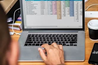 be your professional virtual assistant for data entry