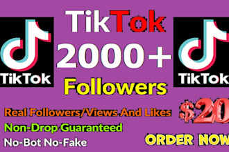 gain 2000 tik tok followers high quality service