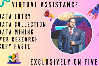 do data entry, web research, convert pdf to word, ms, excel data entry