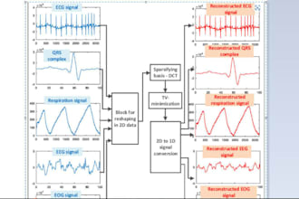 work on biomedical engineering projects tasks presentation