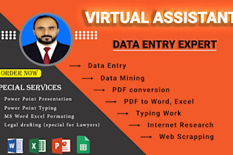 do any kind of legal documents typing, convert pdf to word and data entry