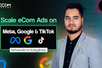 run and optimize ecommerce ads strategy on meta tiktok google