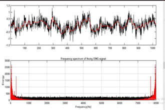 do matlab based boimedical signal processing assigmnt and task
