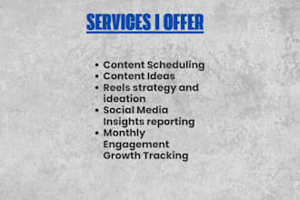 manage your organic social media and content calendar professionally