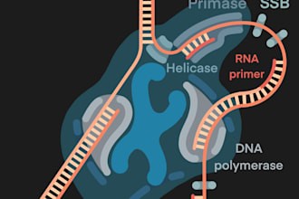draw beautiful biology and medical illustrations