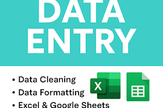do accurate data entry and spreadsheet cleanup