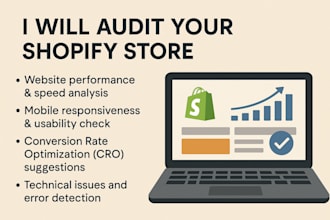 audit your shopify store