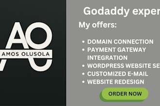 connect your godaddy domain, setup your godaddy website and integrate payments