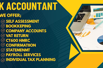 handle your UK self assessment, ct 600, vat return, and company accounts