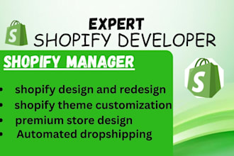 be your shopify developer expert in design clone and bug fix