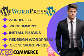 build redesign clone fix wordpress website wordpress SEO woocommerce website