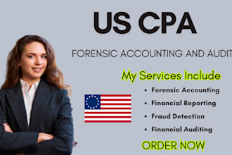 perform forensic accounting reports, detect financial fraud, financial auditing