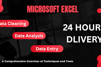 do custom excel spreadsheet template, data cleaning, analysis, macro automations