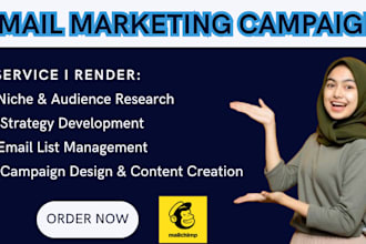 create run a custom email marketing campaign tailored to your niche