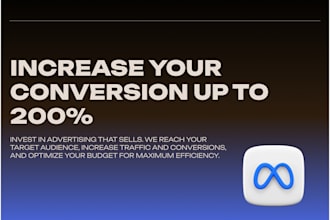 setup and launch of meta ads campaigns
