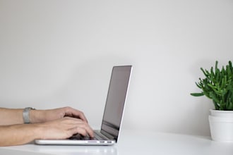 provide data entry and typing services with on time delivery