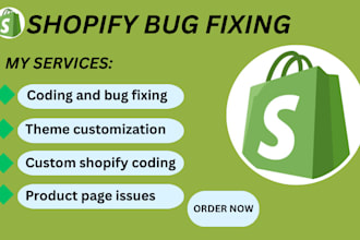 do shopify bug fixing custom coding theme customization fix shopify store error