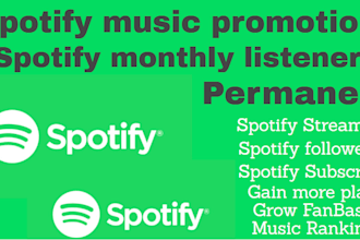 run ads campaign to 300k audience to boost spotify track music to go viral