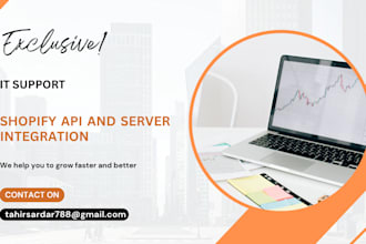 offer expert IT and network troubleshooting services