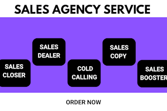 be your sales representative, linkedin lead appointment setting sales closer
