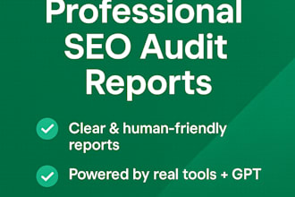 perform a detailed SEO audit and provide a clear action plan