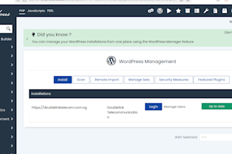 manage, fix bugs, and update your wordpress website