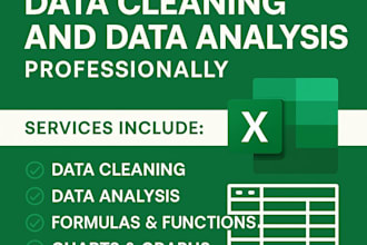 do excel data cleaning and data analysis professionally