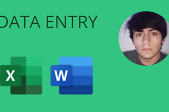 do excel data entry, copy paste and website data entry tasks