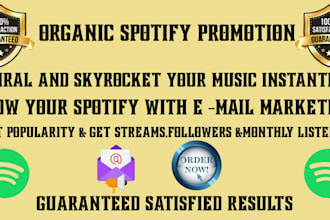 create email marketing campaign for organic spotify music promotion