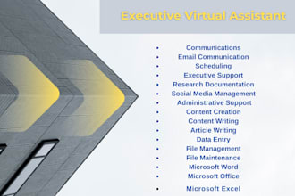 be your virtual assistant for admin and data entry work