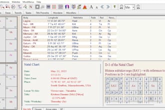 offer astrology prediction service