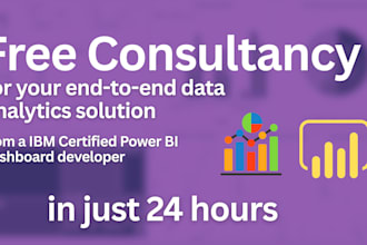 create a professional power bi dashboard with free consultancy