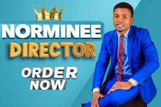 do financial planning, strategy, and business consulting as norminee director