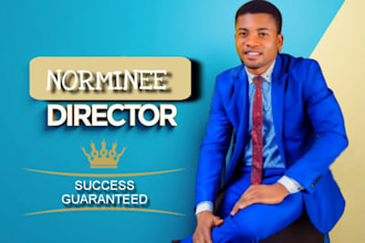 be your nominee director in singapore, bvi, switzerland business strategy