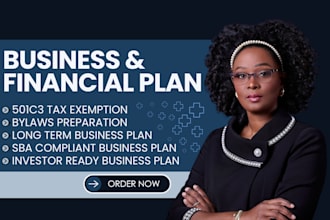 write investor ready sba startup real estate it tech business plan, pitch decks