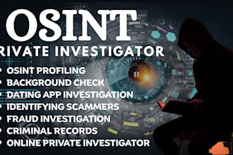be your osint detective private investigator diligence report background check