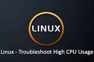 conduct a penetration test and analyze high cpu, ram usage on your linux server