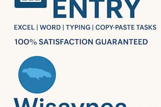 do accurate and fast data entry in excel or word