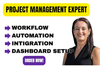 set up and automate your clickup, ms project, asana, or primavera p6 workspace