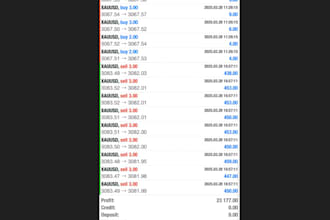 manage your mt4, mt5 account with proper risk management, account management