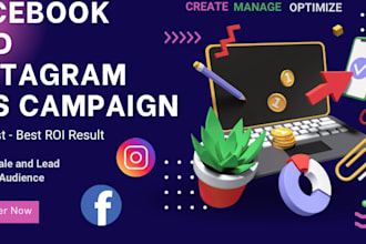 facebook ads and instagram ads for your business