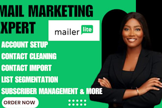 setup mailerlite, design lead magnet form, landing page to capture leads