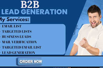 build niche targeted b2b email lead list for lead generation and email marketing