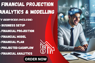build financial excel models, forecasting budget projections analytics report