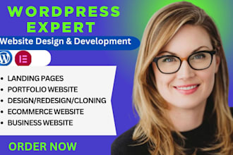 redesign, rebuild, design, revamp or fix wordpress  business or ecomm website