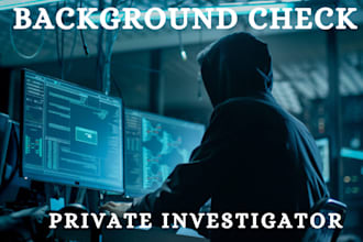 be your online investigator, background check, social media, osint detective